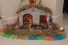 CRIB COMPETETION 2020