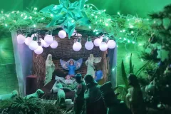 1st-Prize-Baby-Thomas-Family1_WB