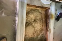 IMG-20200916-WA0007_WB