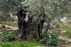 IMG-20200916-WA0009_WB