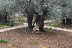 IMG-20200916-WA0013_WB