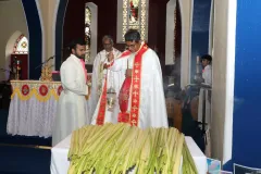 WhatsApp-Image-2023-04-03-at-07.18.37_WB