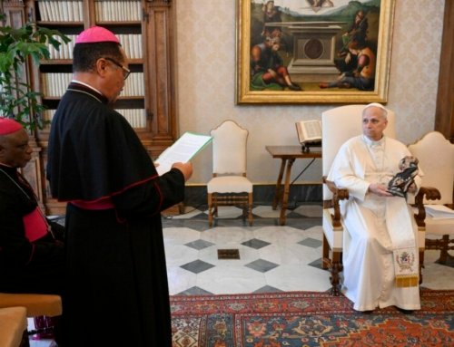 Cardinal warns against ‘quick-fix’ airstrikes as bishops of Nigeria meet Pope Leo XIV in Rome