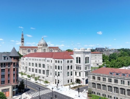 New national garden promises healing for abuse survivors and all Catholics