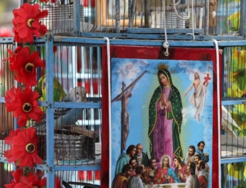 Here’s a glimpse of Holy Week around the world