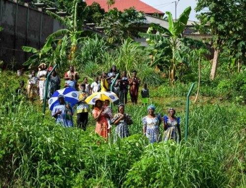 With candor, Pope Leo confronts Cameroon’s ongoing abductions, killings in plea for peace