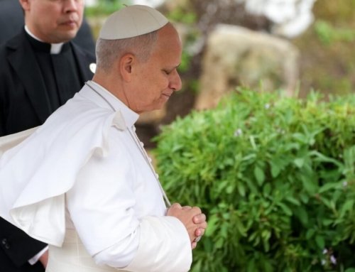 Pope Leo XIV’s first-year themes of unity, community have Augustinian ties