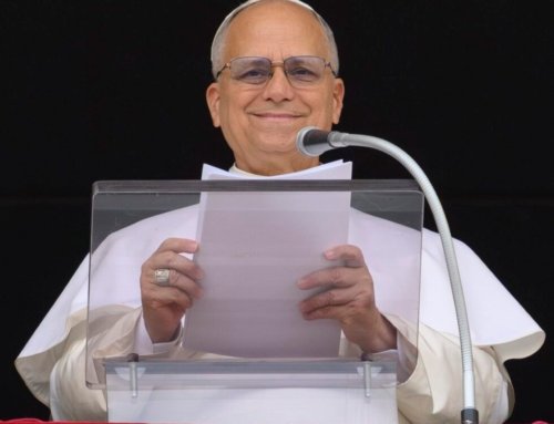 Pope Leo thanks Canary Islands as hantavirus-stricken ship arrives in Tenerife