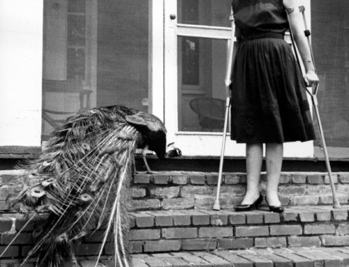Flannery O’Connor: Southern writer made Catholic vision ‘apparent by shock’