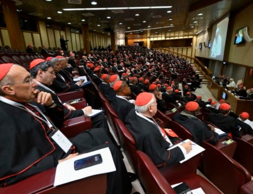 Extraordinary consistory signals pope’s push for more collaboration on global challenges