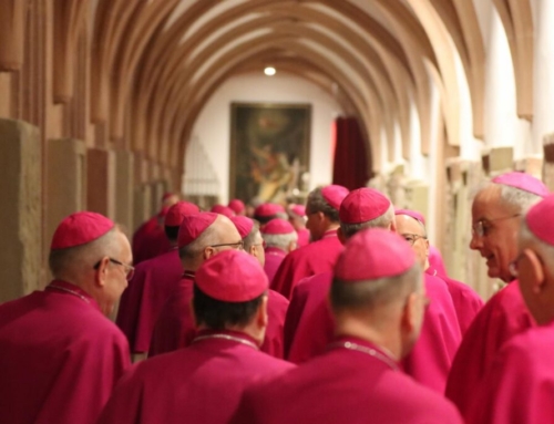 Germany: Vatican denies request for lay homilies, sparks pushback by lay groups