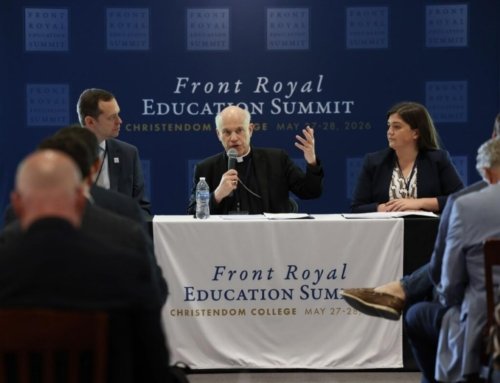 Group’s new roadmap aims to renew Catholic elementary and secondary education