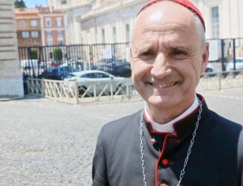 Cardinals reflect on Pope Leo XIV’s June consistory: ‘We’re starting to get to know each other’