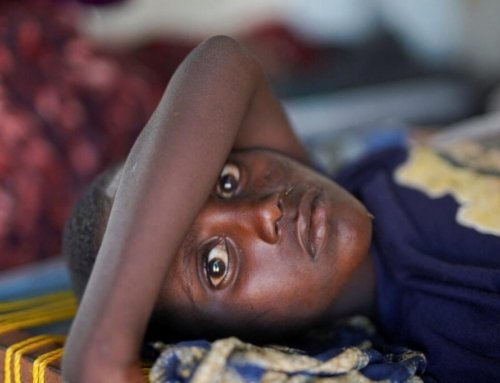 Catholics urged to support Church in Africa, where faith ‘is growing rapidly’ amid great needs