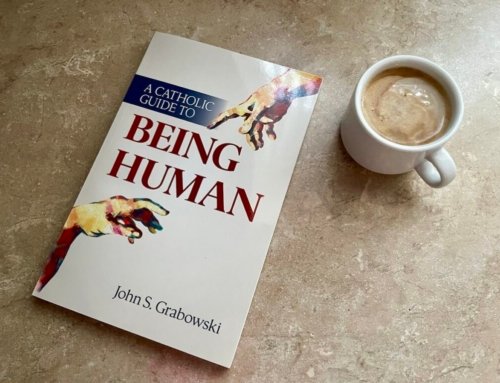 Theologian explains new book, ‘A Catholic Guide to Being Human,’ in a time of confusion