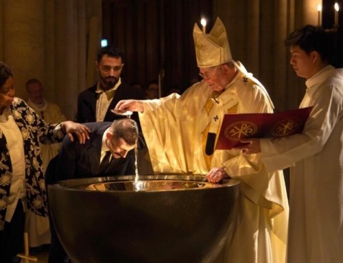 ‘An immense opportunity and honor’: New Catholics meet Pope Leo in Paris