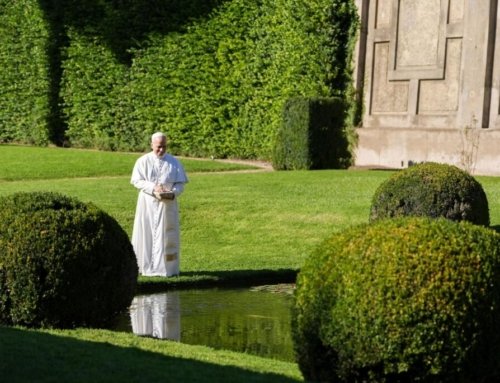 Full text: Pope Leo XIV’s World Day of Prayer for the Care of Creation message