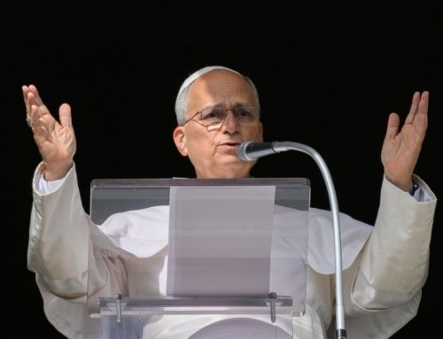Full text: Pope Leo XIV’s Angelus address given October 25, 2026